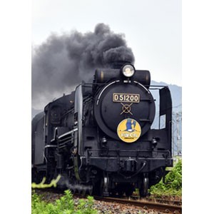 2016-8 D51 200 Steam Locomotive - Train Trax