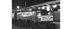 3040-1 EF58 66 Ryuka Locomotive Depot