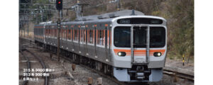 10-2066 Special Edition 315 Series 3000 + 313 Series 300 6-Car Set