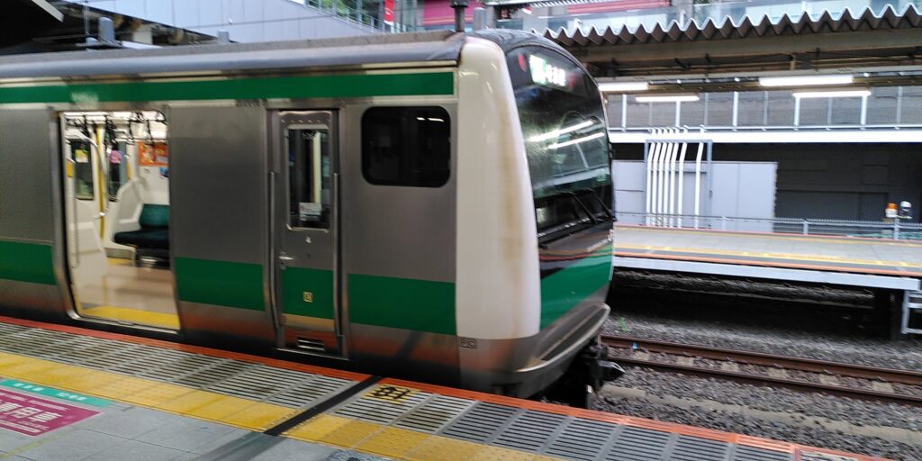 Train back to Saitama