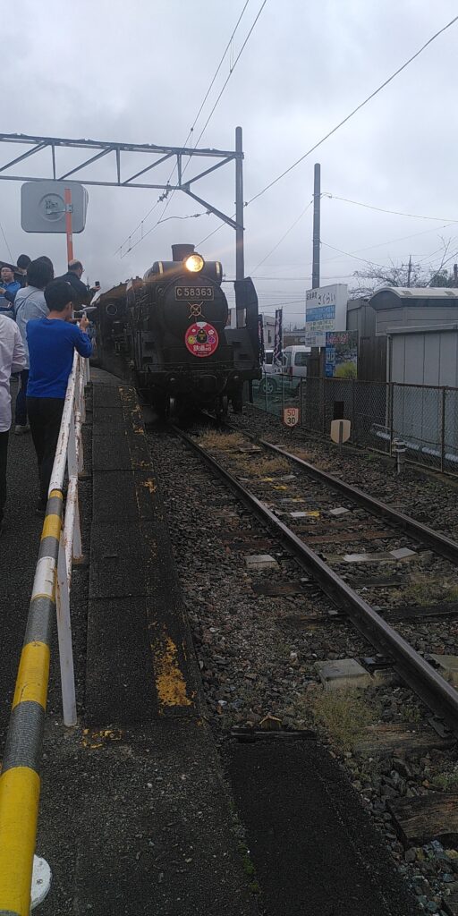 SL Paleo Express at Nagatoro